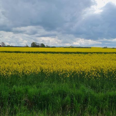 Ferienwohnung Im Leuchtturmort Bastorf Buitenkant foto