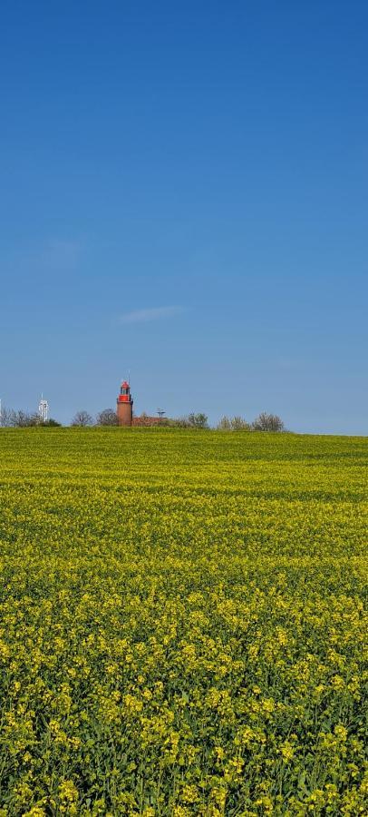 Ferienwohnung Im Leuchtturmort Bastorf Buitenkant foto